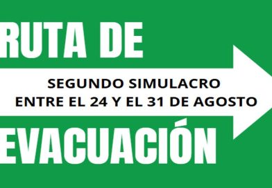 SIMULACRO